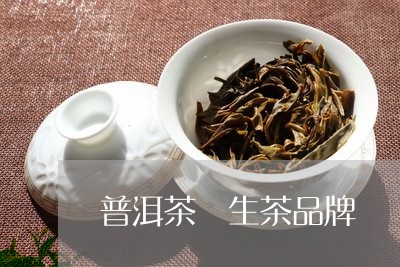 普洱茶 生茶品牌/2023041209580